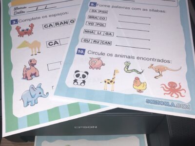 FAMÍLIA SILÁBICA - FICHAS DE LEITURA COM ATIVIDADES