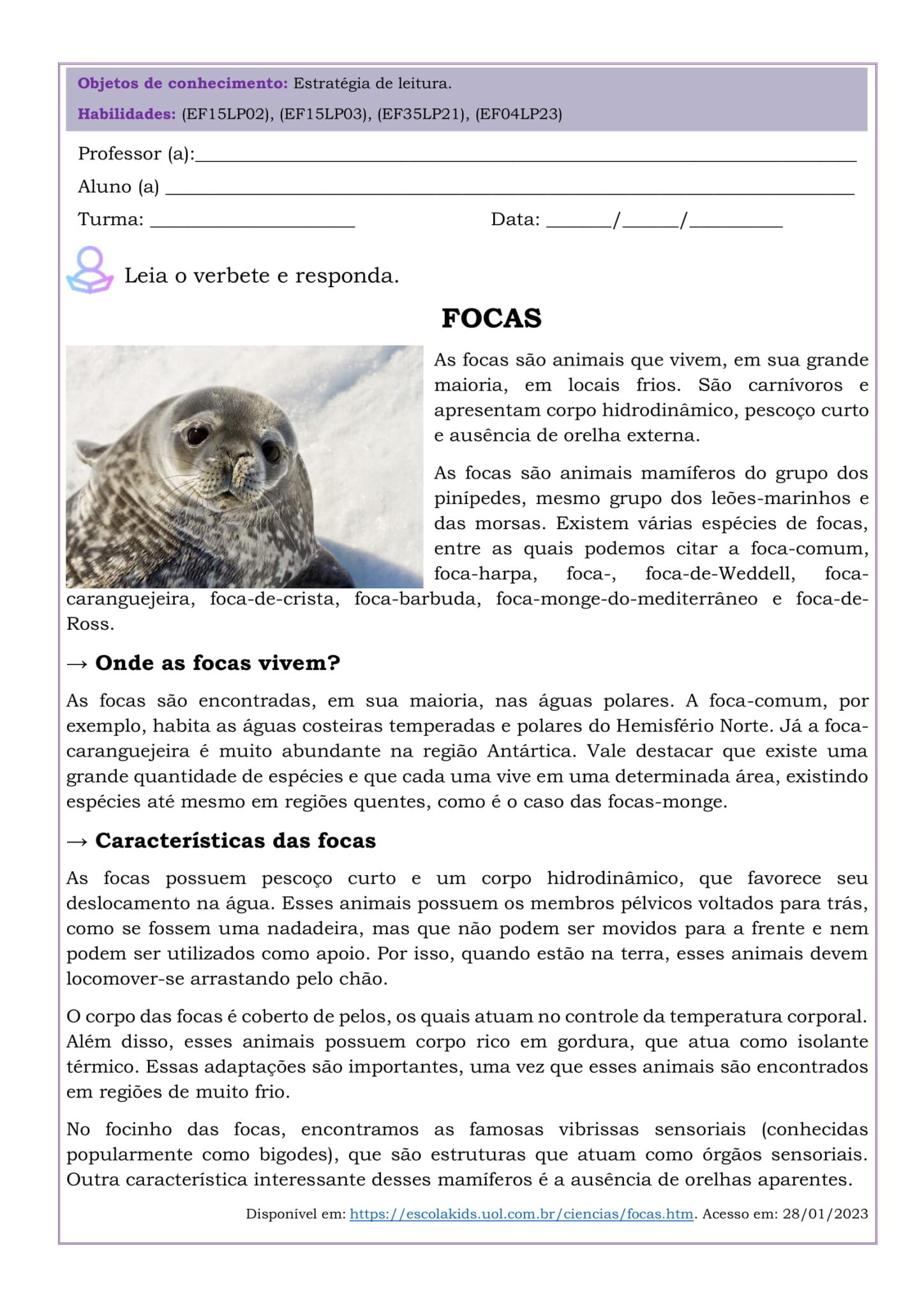 35 Atividades de Interpretação de Texto: 4º ano (BNCC) – Mercado da ...