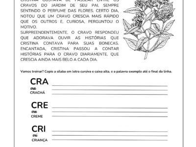 KIT ORTOGRAFIA (BNCC)