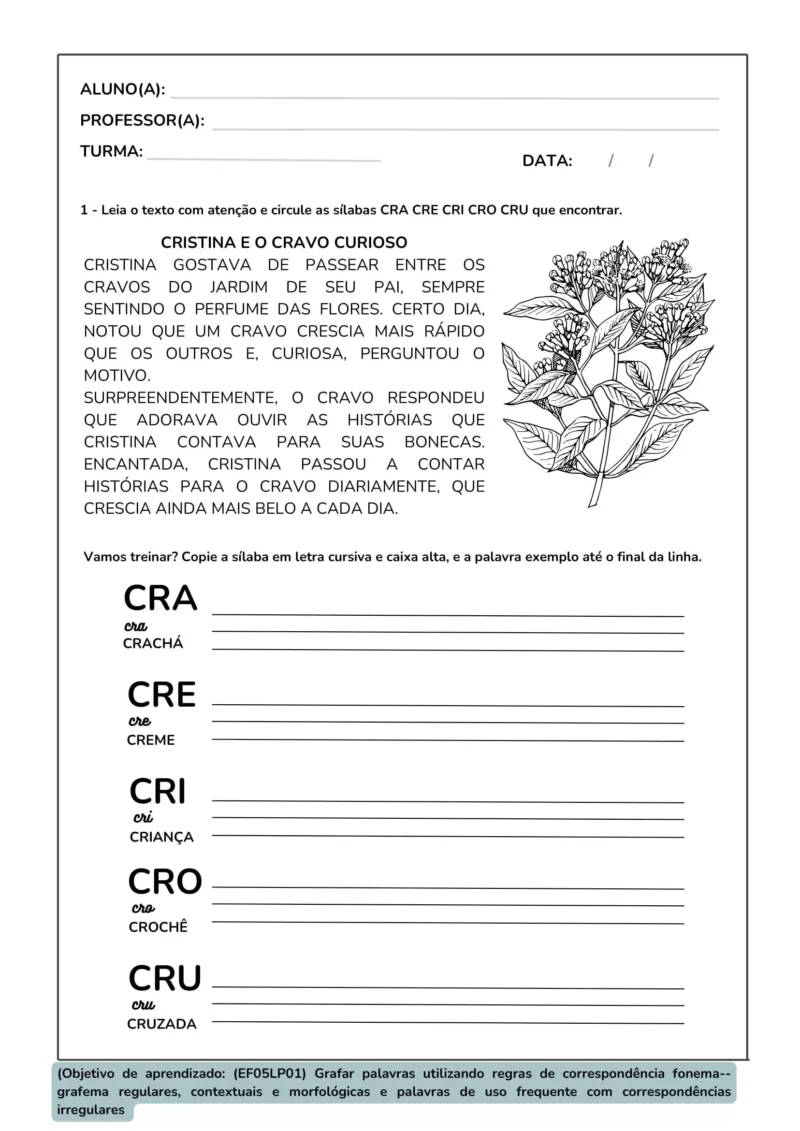 KIT ORTOGRAFIA (BNCC)