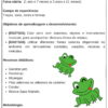 500 PLANOS DE AULA DIÁRIOS – CRIANÇAS BEM PEQUENAS (BNCC) - Imagem 17