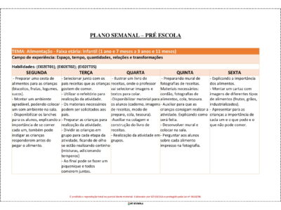 500 PLANOS DE AULA DIÁRIOS – CRIANÇAS BEM PEQUENAS (BNCC)