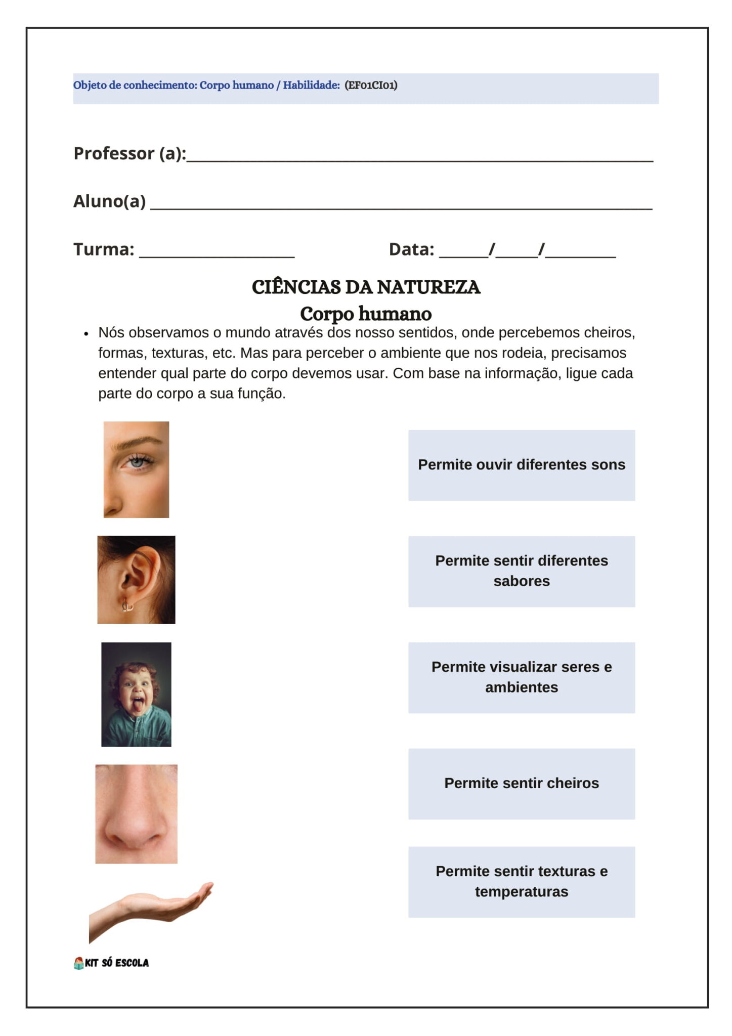 200 Atividades de Ciências para EJA BNCC - 1º ao 5º ano – Mercado da ...