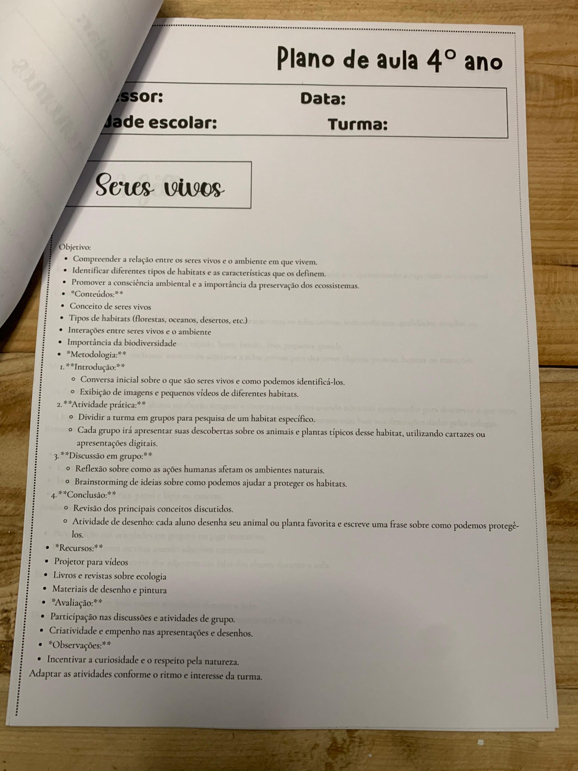 Planos de Aula – 4º Ano - Imagem 3