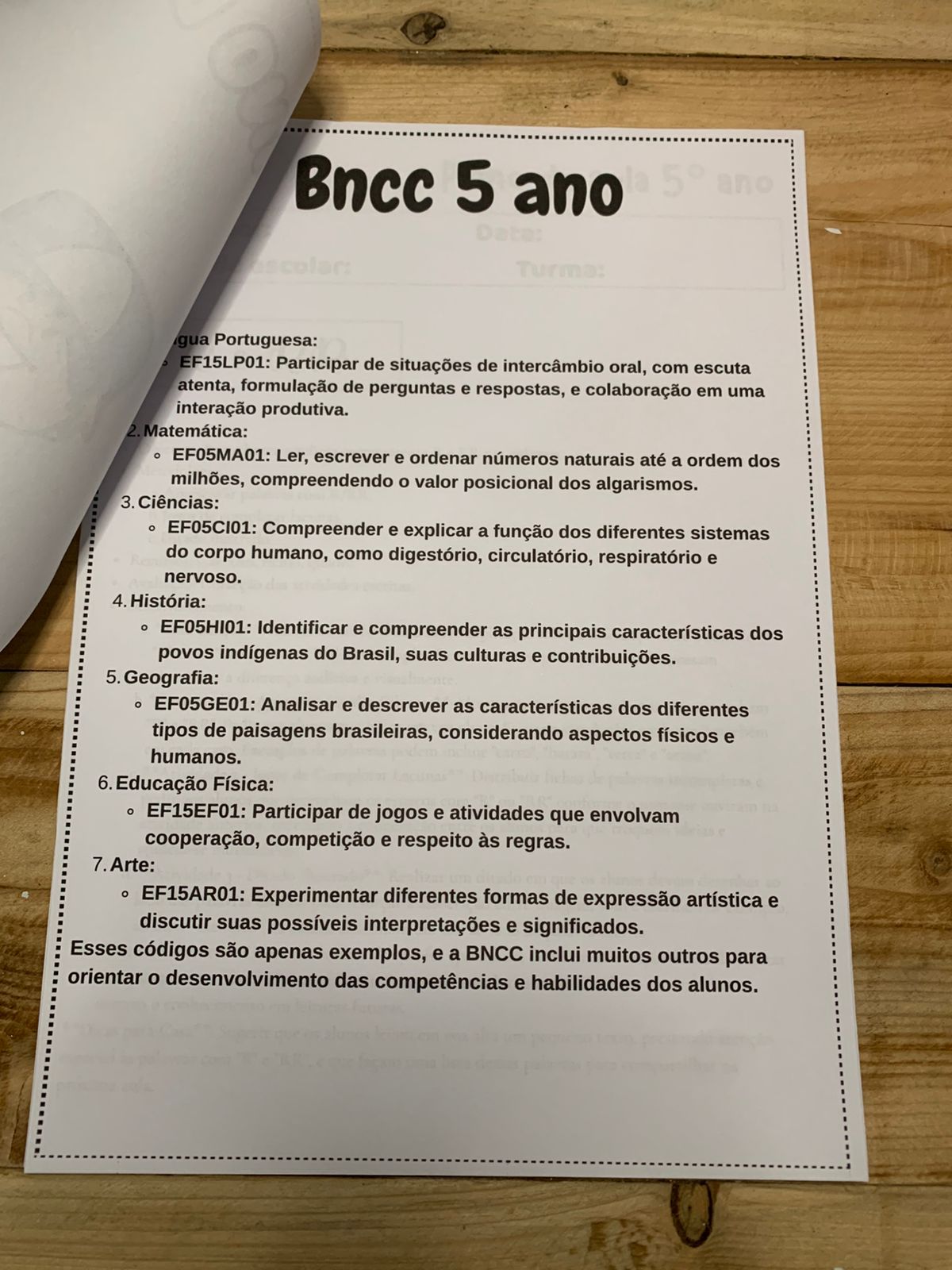 Planos de Aula – 5º Ano - Imagem 2