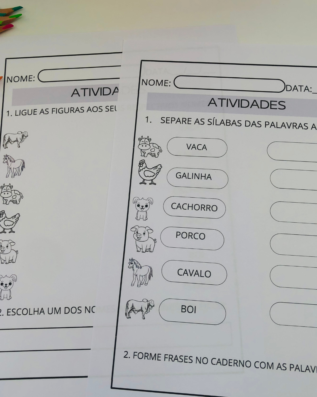 Sequência Didática O Sítio do Vovô — 2º ano - Imagem 3