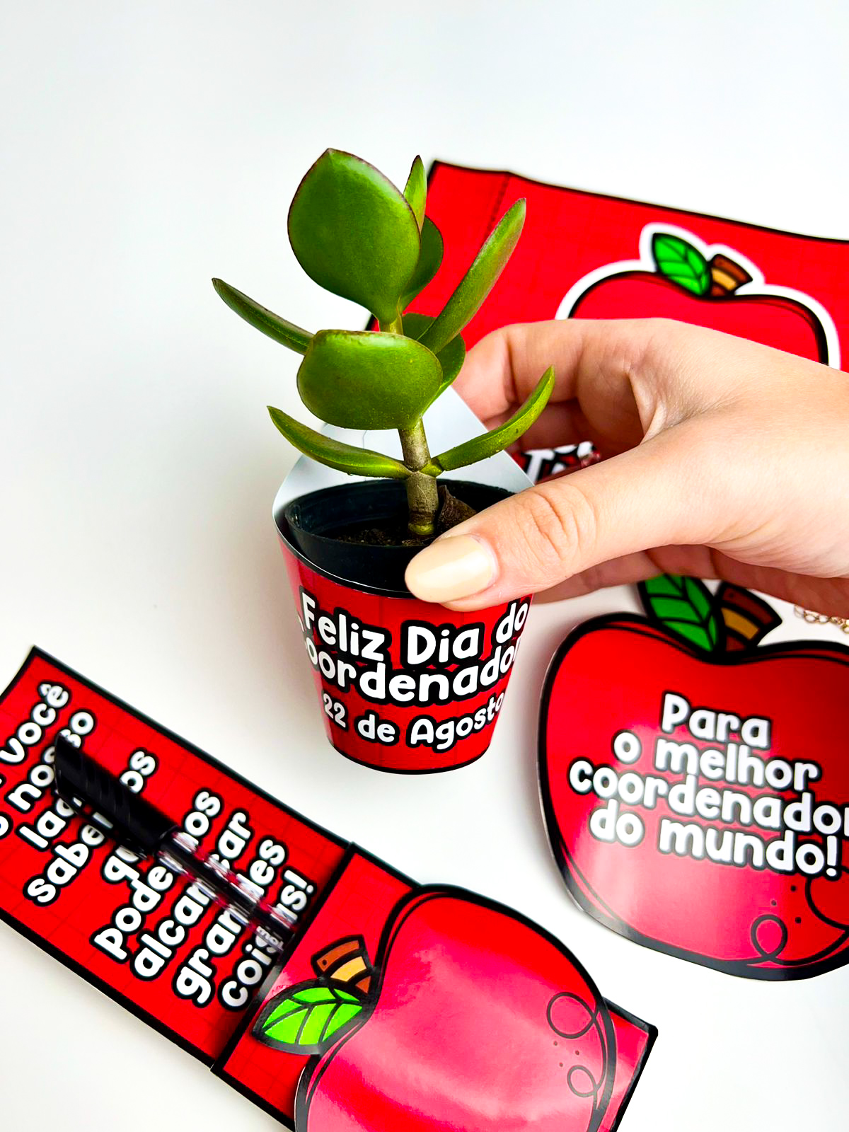 Lembrancinha dia do coordenador pedagógico - Imagem 4