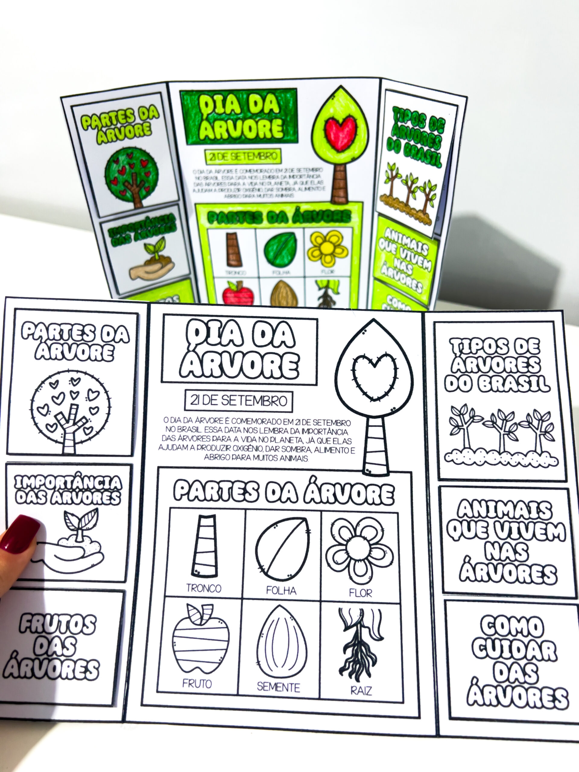Lapbook do Dia da Árvore - Imagem 3