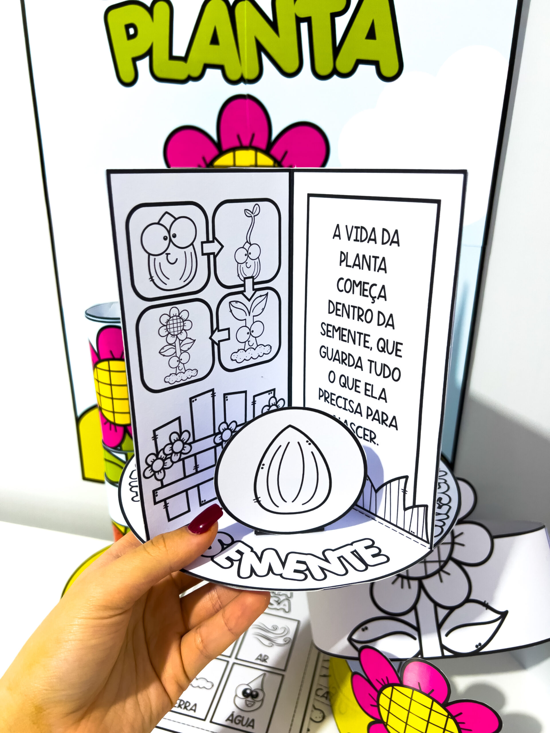 Kit Ciclo da Planta - Imagem 6