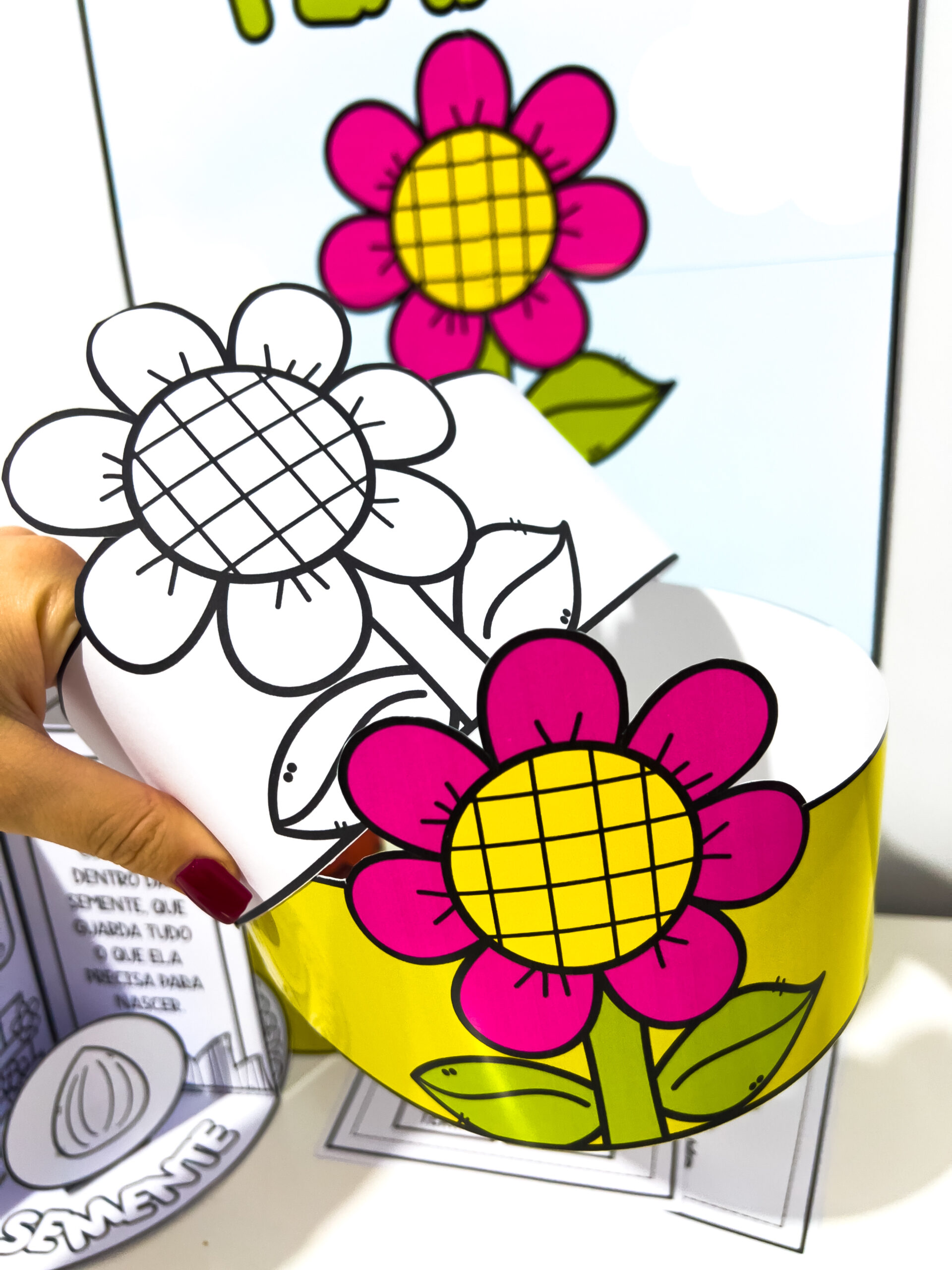 Kit Ciclo da Planta - Imagem 5