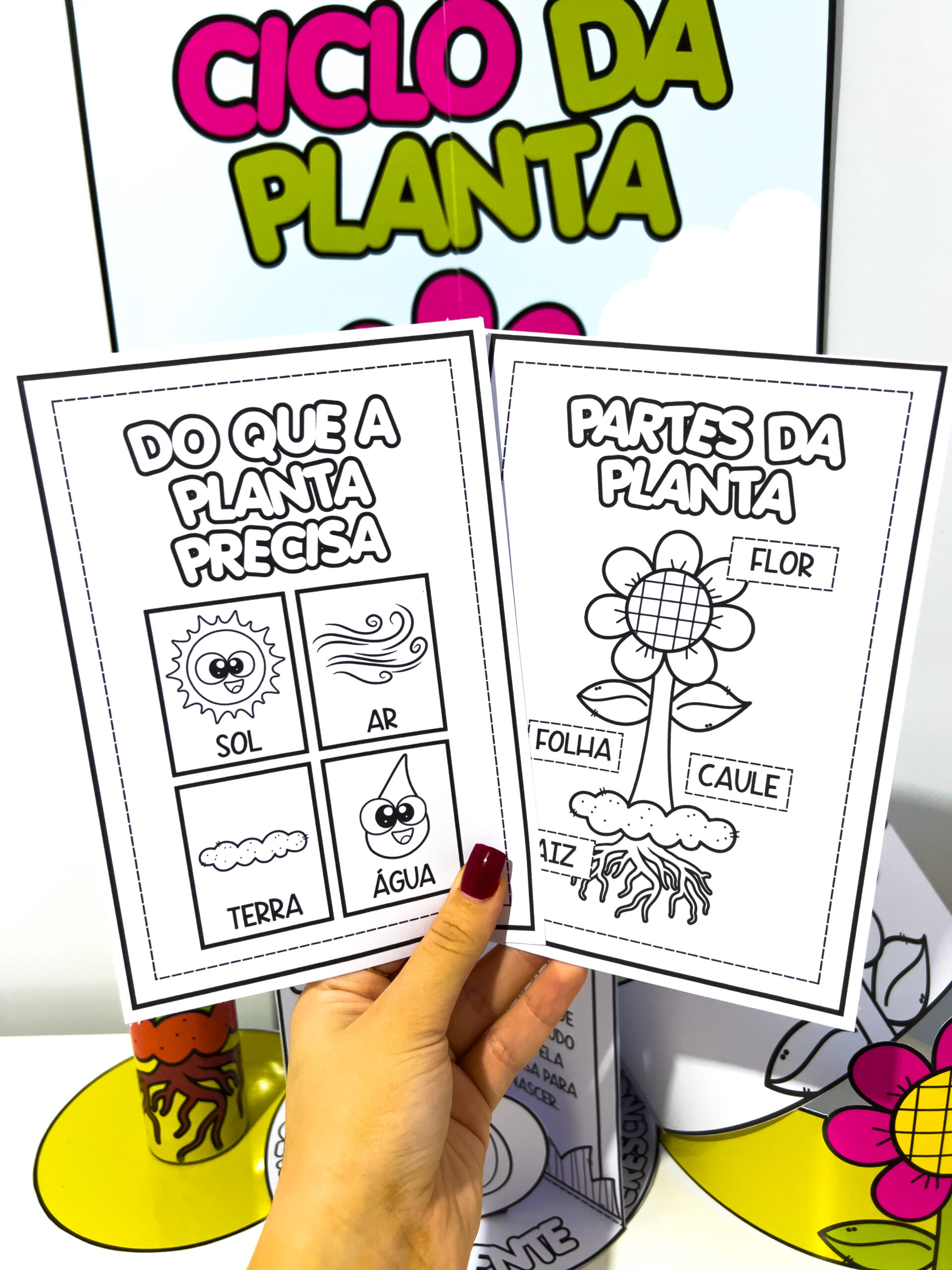 Kit Ciclo da Planta - Imagem 3