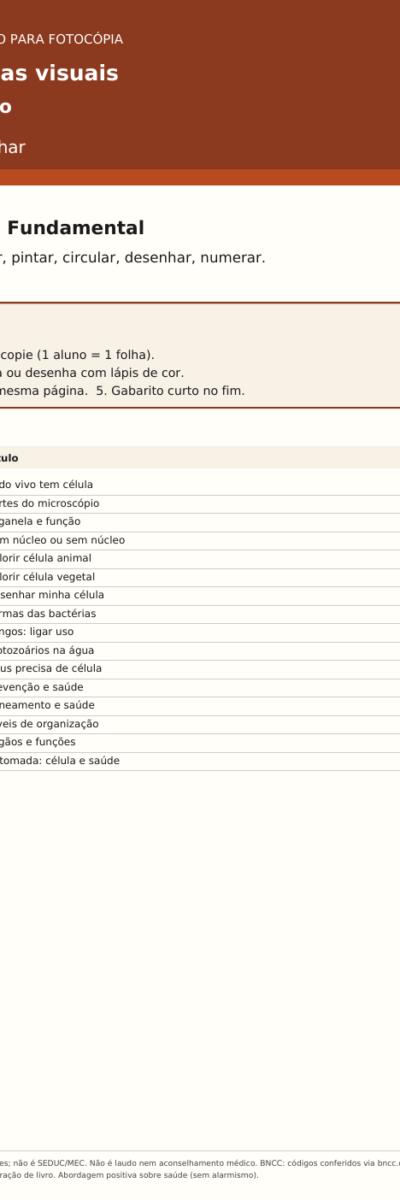 Fichas inclusivas visuais — Ciências (6º ano)